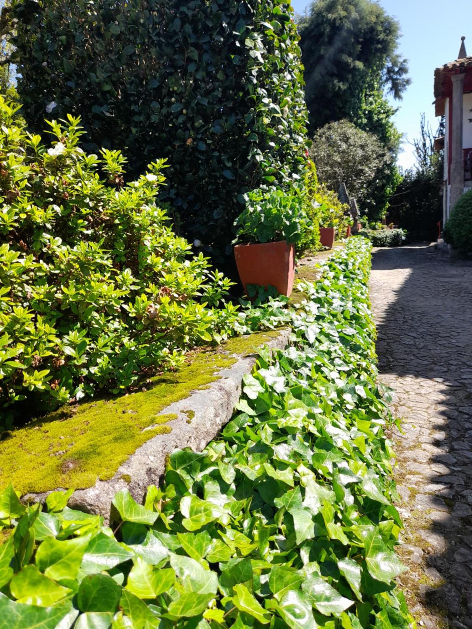 Quinta Da Mainha - Charming Houses Braga Kültér fotó